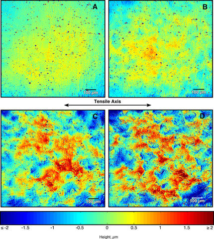 The four images (taken with scanning laser confocal microscopy) show variations in surface roughness of an aluminum alloy as produced by increasing amounts of strain