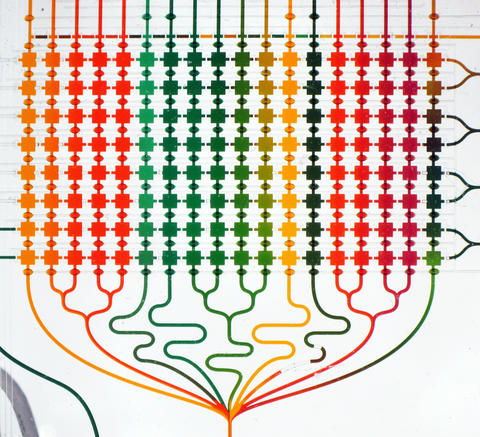 microfluidic chip