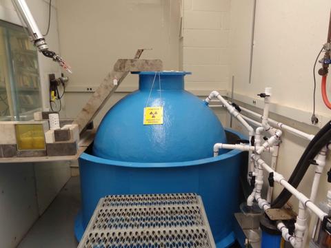 neutron emission source