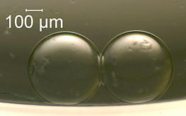 two artificial cells