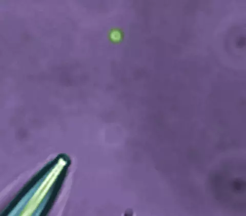 Image of the creation of nanodrop 'test tubes'
