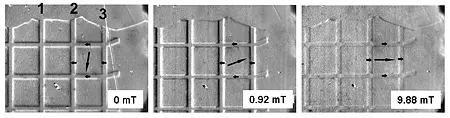 Magnetic domain images created used NIST MOIF technique