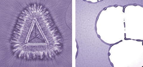 Image of polymer crystallization