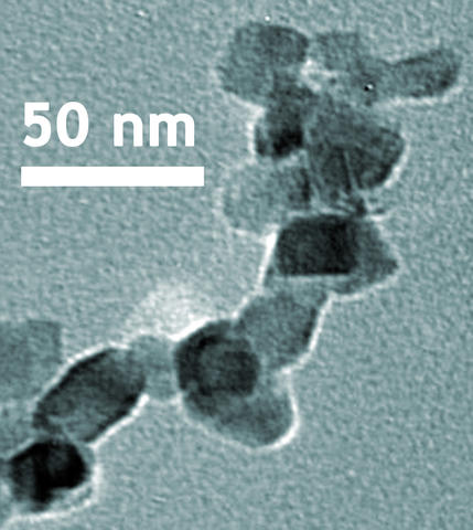 TEM image shows the nanoscale crystalline structure of titanium dioxide in NIST SRM 1898 