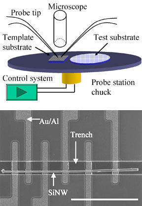 nanowire