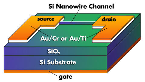 A schematic diagram of the NIST nanowire transistor