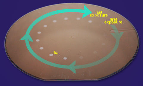 Illustration of silicon wafer exposed to extreme ultraviolet light