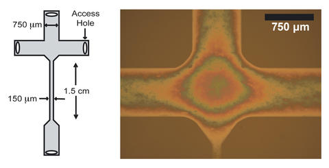 left: schematic of nanofluidic device. right: photomicrograph