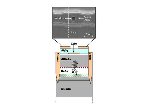 illustration of NIST's modified field-effect transistor