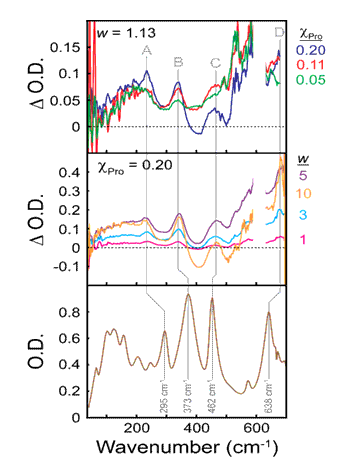 Terahertz spectra of L-Proline