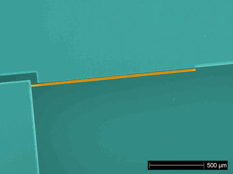 Colorized micrograph of a silicon micro-cantilever