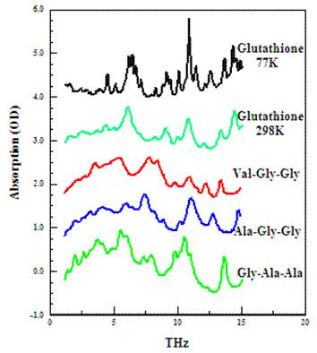 Far-infrared Spectroscopy of Biomolecules (Archived)