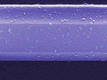 Scanning electron microscope image of a gas sensor segment fabricated of a semiconducting nanowire of gallium nitride. 