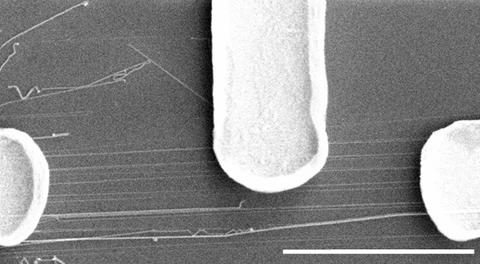 Scanning electron microscope image shows electrodes connected to group of nanowires.