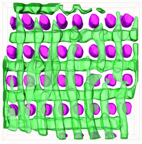 Transmission electron microscope (TEM) tomography provides a nanoscale, 3D visualization of the structure of a templated block copolymer.