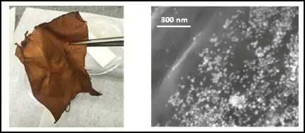 Silver nanoparticle textiles