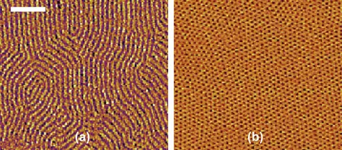 Thin film image