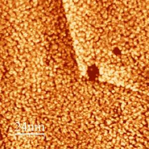 Scanning tunneling microscope image shows ultrathin film layer of platinum deposited on gold