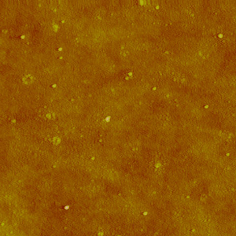 AFM (Atomic force microscopy) image of silver nanoparticles