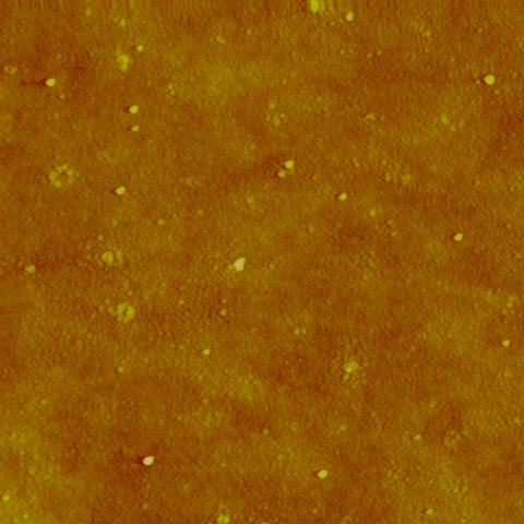 AFM (Atomic force microscopy) image of silver nanoparticles