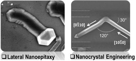 surface_directed_nanochannel_formation_and_their_fluid_transport_properties