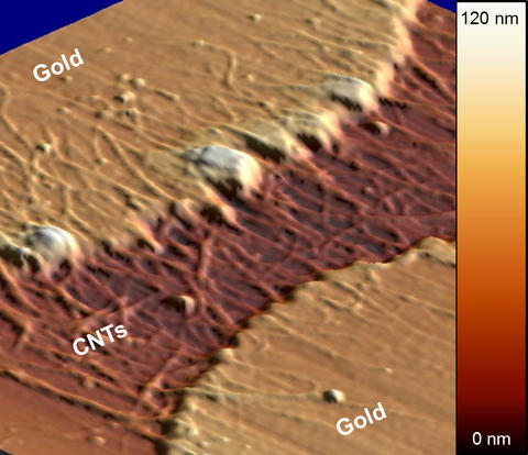 Micrograph of recession and clumping in gold electrodes 