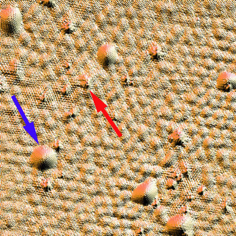 STM topographic image of a section of graphene sheet