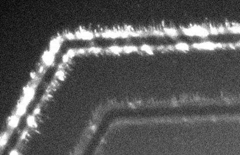 Optical microscope image of "nano LEDs" emitting light.