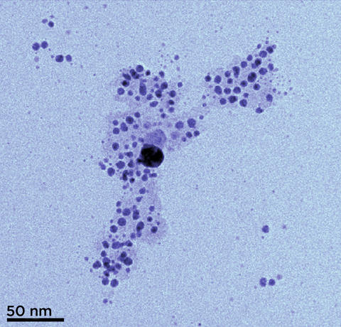 Transmission electron microscopy (TEM) image of silver nanoparticles