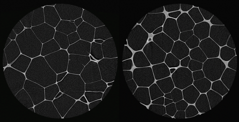 Two XCT slices taken of (left) a lower density foam and (right) a higher density foam, both with nominally the same polymeric backbone. Each image is about 1000 x 1000 pixels in size, and the side length of each pixel is 4.62 micrometers.