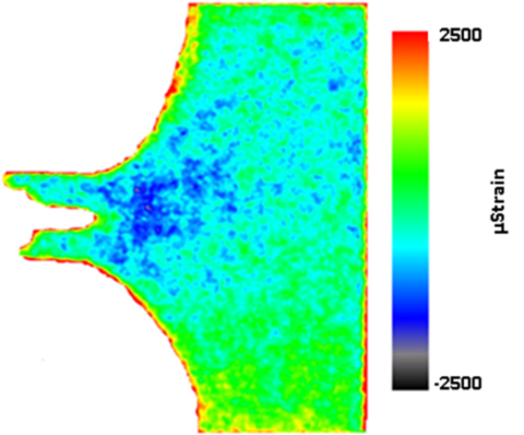 imaging of radiation measurements