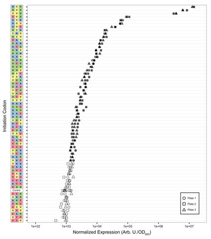 Image of codon levels