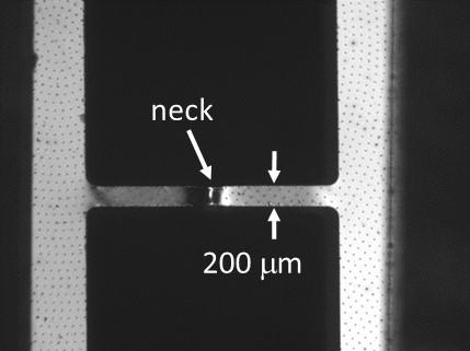 Optical micrograph of a micro metal tensile specimen, 200 micron thick, undergoing a quasi-static tensile test.