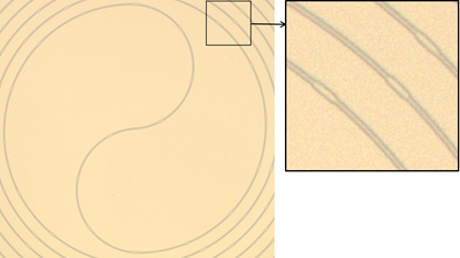 coplanar superconducting waveguide