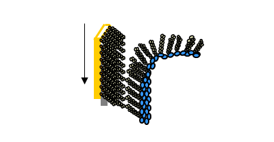 lipid membrane