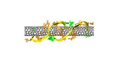 A figure showing the molecular structure of a DNA-wrapped carbon nanotube