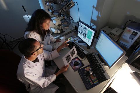 scientists at computer