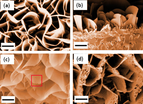 four images of iron oxide nanoblades