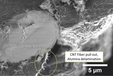 Microscopic imaging of the fracture surface of an alumina fiber reinforced composite. Shows the fibers embedded in the polymer resin.