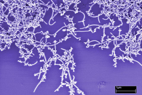 colorized image of carbon nanotubes