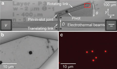 Motion measurement for an electrothermal actuator using tracking of fluorescent particle constellations.