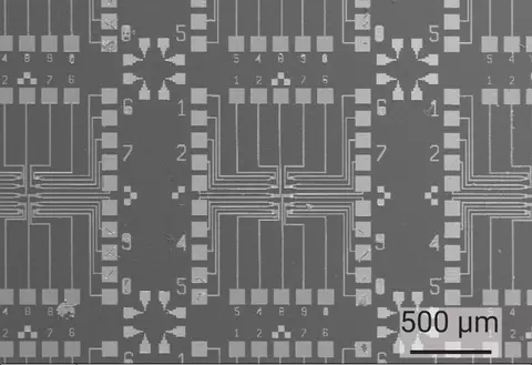 Scanning electron micrograph of arrays of independently controllable MoS2 field effect transistors for biochemical sensing.