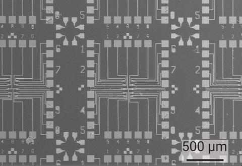 Scanning electron micrograph of arrays of independently controllable MoS2 field effect transistors for biochemical sensing.