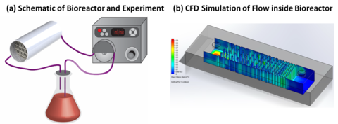 Printing of Bioreactors