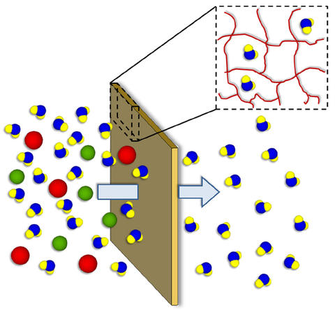 Schematic of selective transport of water, ions, or molecules across a polymer membrane.