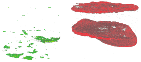Hydrocarbons in Shale Samples green pieces and a round flat red piece rotating