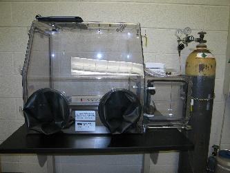 Coy Laboratory Products Glovebox