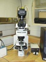 Nikon Eclipse Microscope