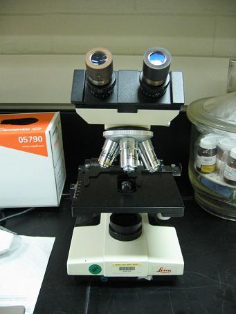 Leica Microscope