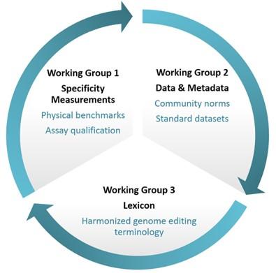 Gene editing working group